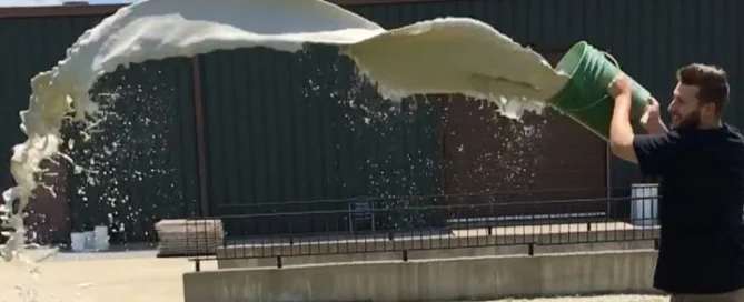 Using Real Milk Paint as a natural fertilizer
