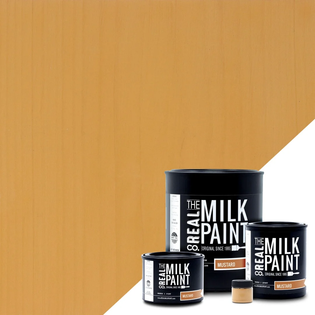 Mustard seed milk paint made from milk protein casein