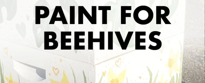 BestPaintForBeehives BlogMain
