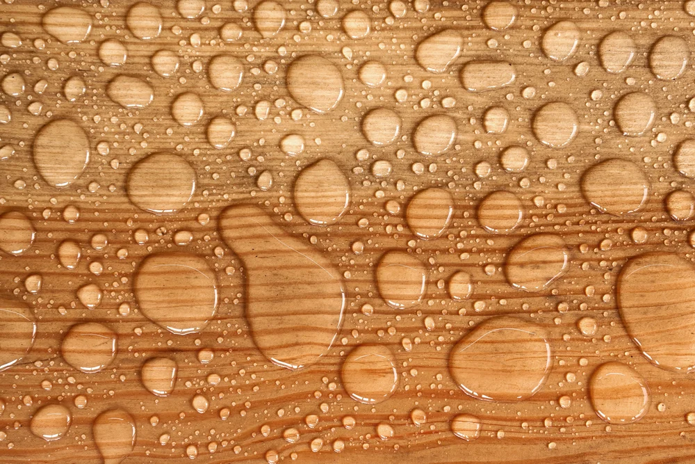 Macro shot of water droplets on light-colored wood showcasing the effect of water popping wood Macro shot of water droplets on light-colored wood showcasing the effect of water popping wood