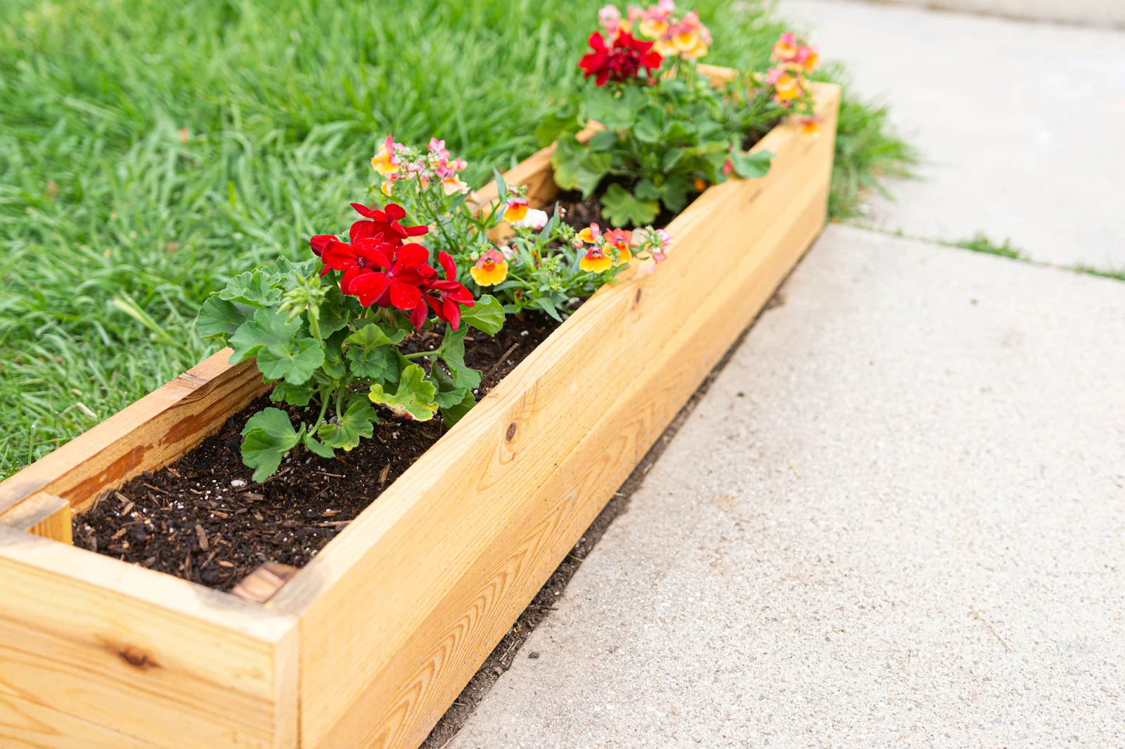 raised garden bed with flowers using the best wood finish for garden boxes from Real Milk Paint
