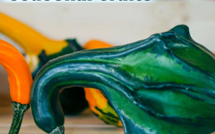 Easy gourd painting ideas using eco-friendly Real Milk Paint for seasonal crafts