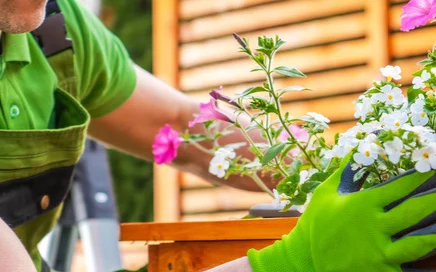 Ideas and tips for garden woodworking projects