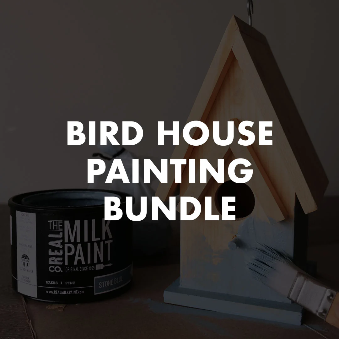 Bird House Painting Bundle