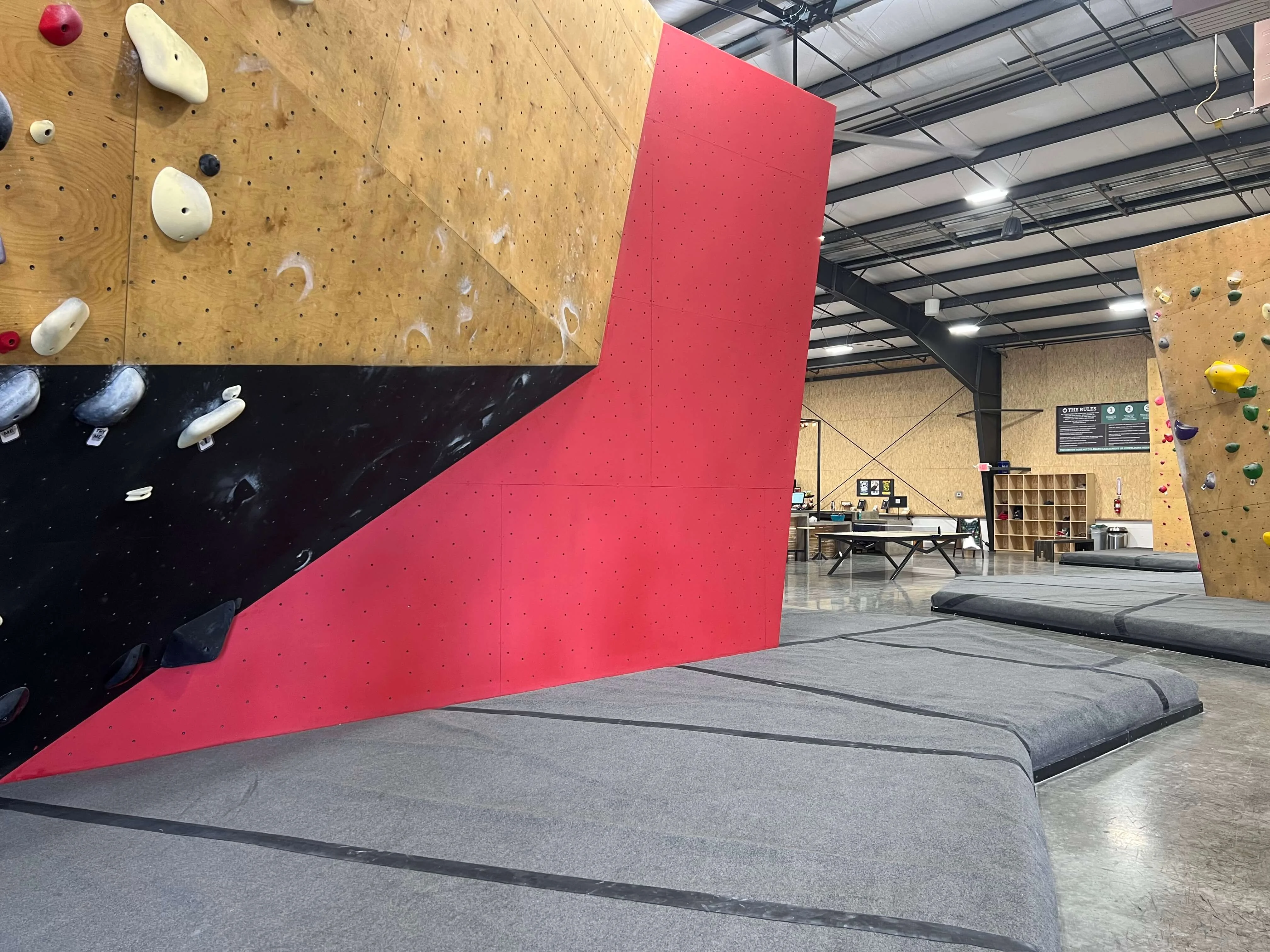 Newly updated climbing walls at Circuit Gym featuring bright, opaque colors and a fresh, textured surface.