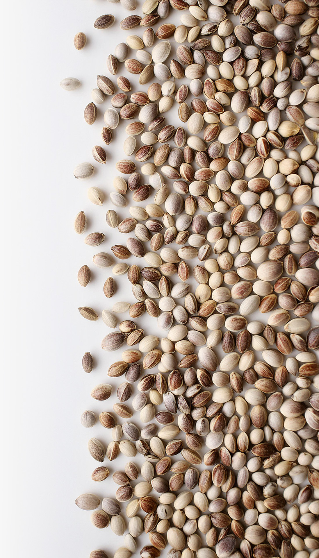 Adobe FireFly HempSeeds 1 Background