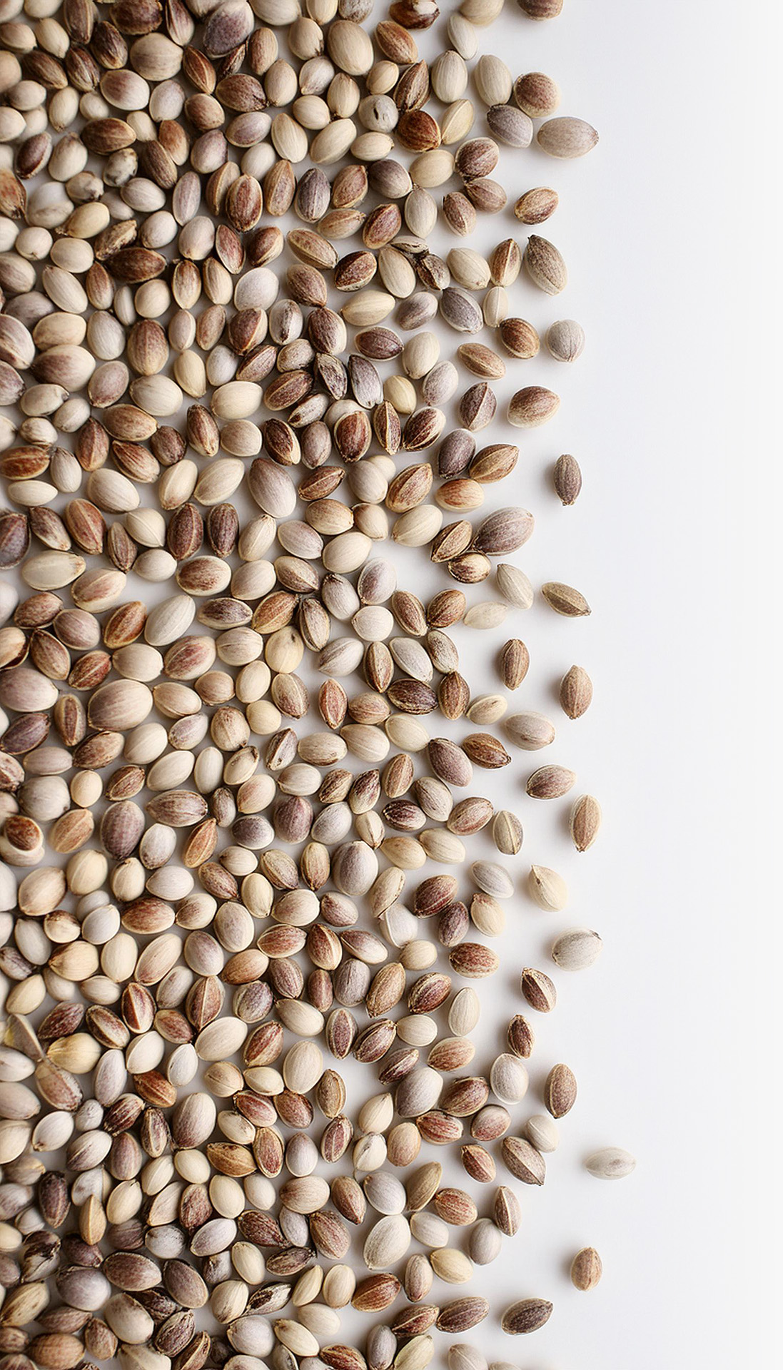 Adobe FireFly HempSeeds Background