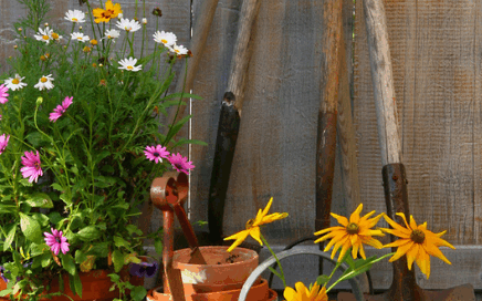 DIY spring wood crafts are a fun and rewarding way to bring fresh color and charm to your indoor and outdoor spaces this season