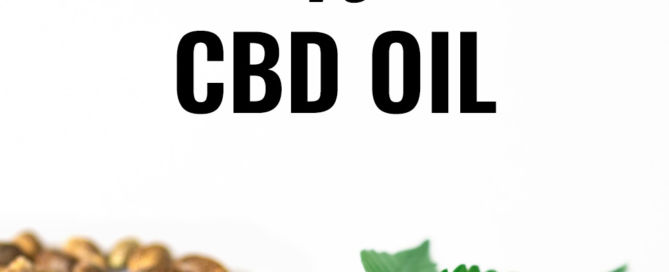 Hemp seed oil vs CBD oil
