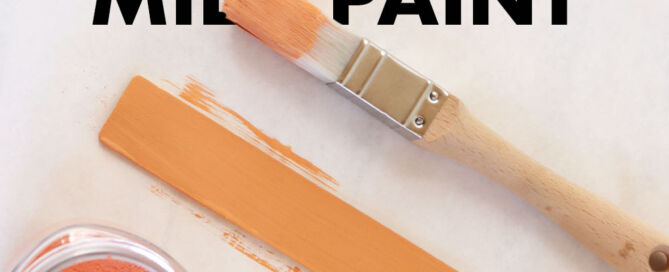 store unused milk paint