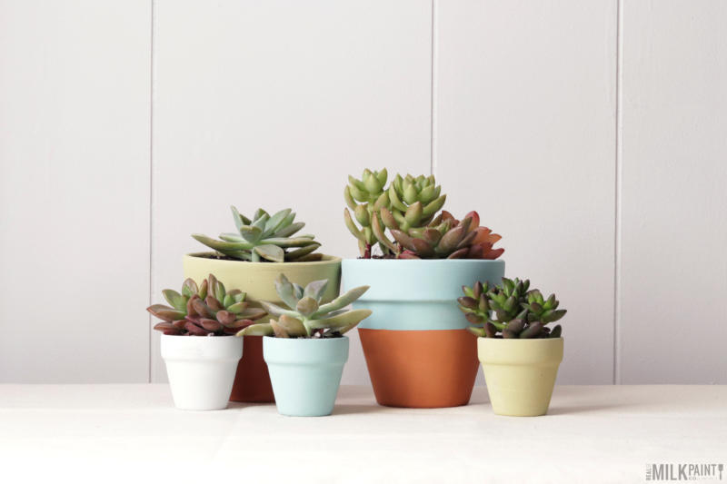 zero VOCs paints good for painting plant pots