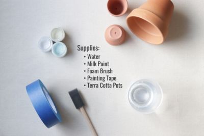 Painting Terra Cotta Succulent Plant Pot Supplies