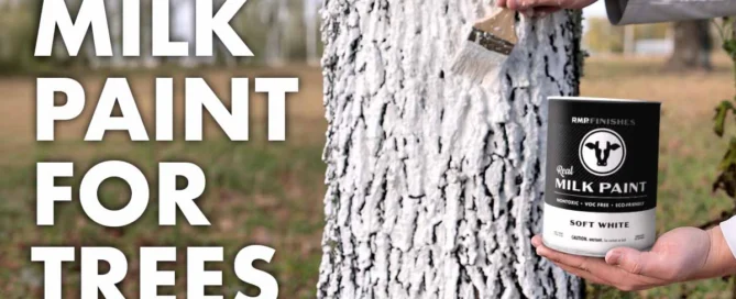 RMP Finishes How To Use Milk Paint For Trees Guide 1200x630