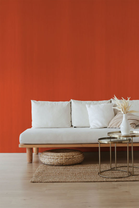 persimmon orange shade color for walls