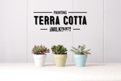 Simple DIY Succulent Plant Pots