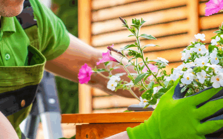 Ideas and tips for garden woodworking projects