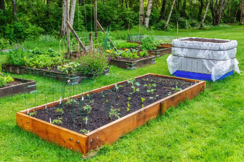 image of several raised beds with eco wood treatment