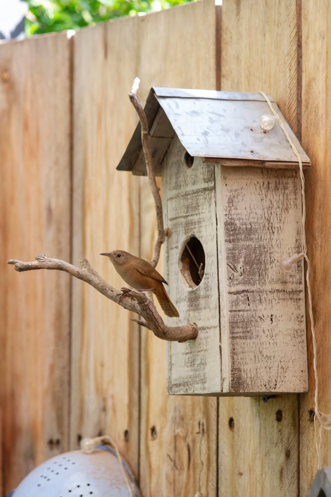 Expert tips and inspiration for outdoor woodworking plans