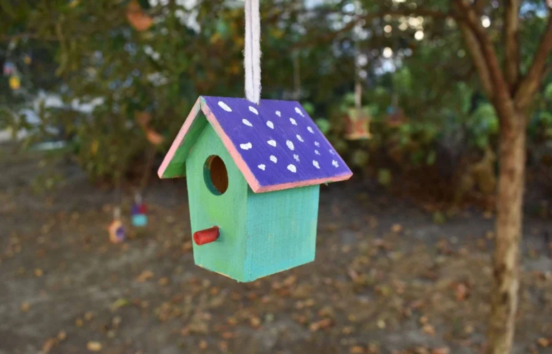 A small, colorful, hand-painted birdhouse, primarily green with a purple polka-dot roof, hangs from a tree by a white string.