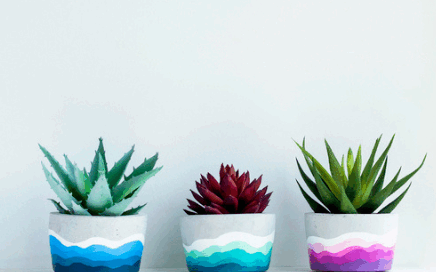 Colorful indoor succulents displayed in pots finished with the best paint for succulent pots