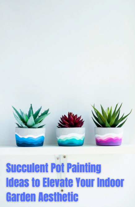 Colorful indoor succulents displayed in pots finished with the best paint for succulent pots