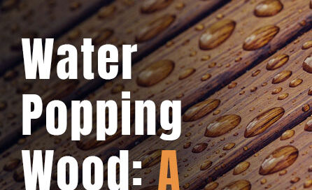 Close-up of water droplets on a wooden surface demonstrating water popping wood
